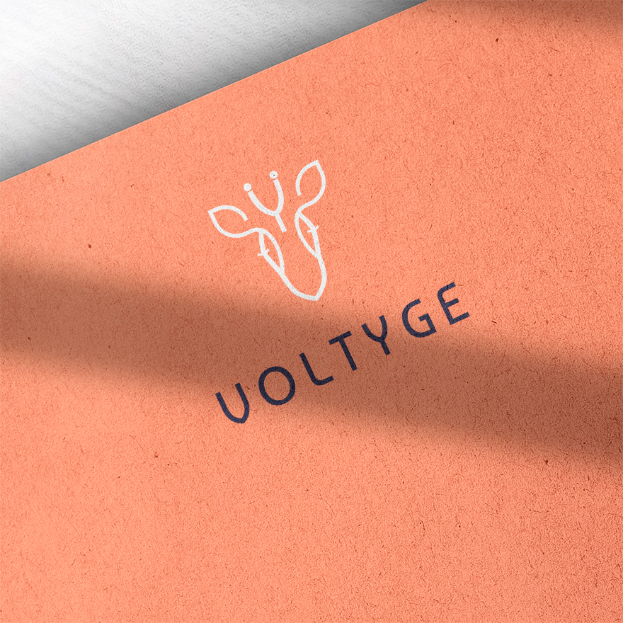 Logo Voltyge