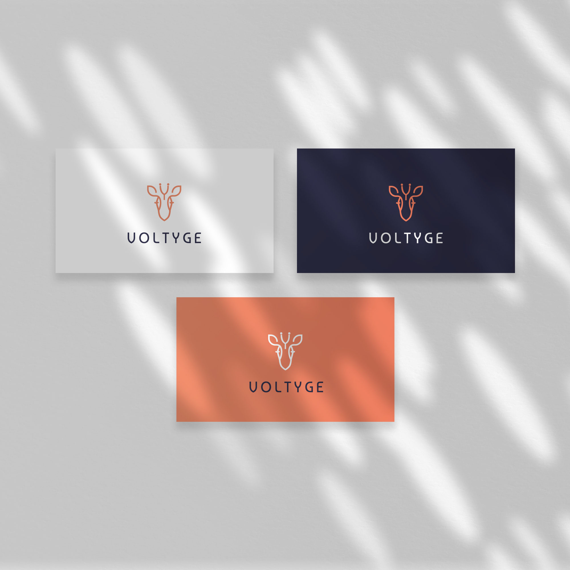 Logo Voltyge