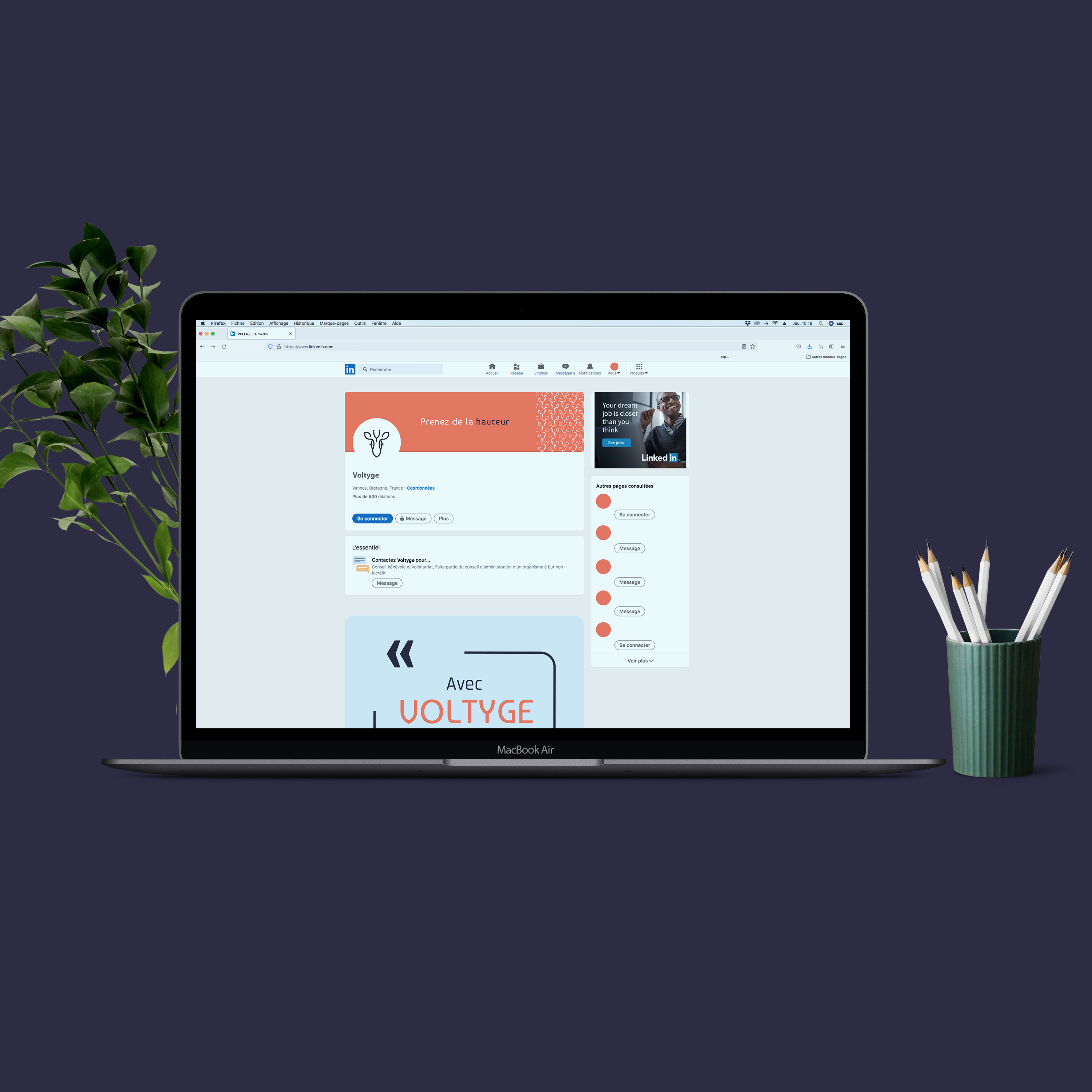 Aperçu compte LinkedIn Voltyge