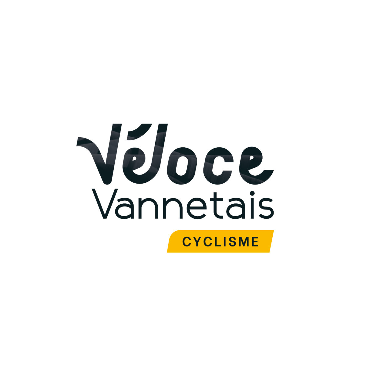 Logo véloce vannetais