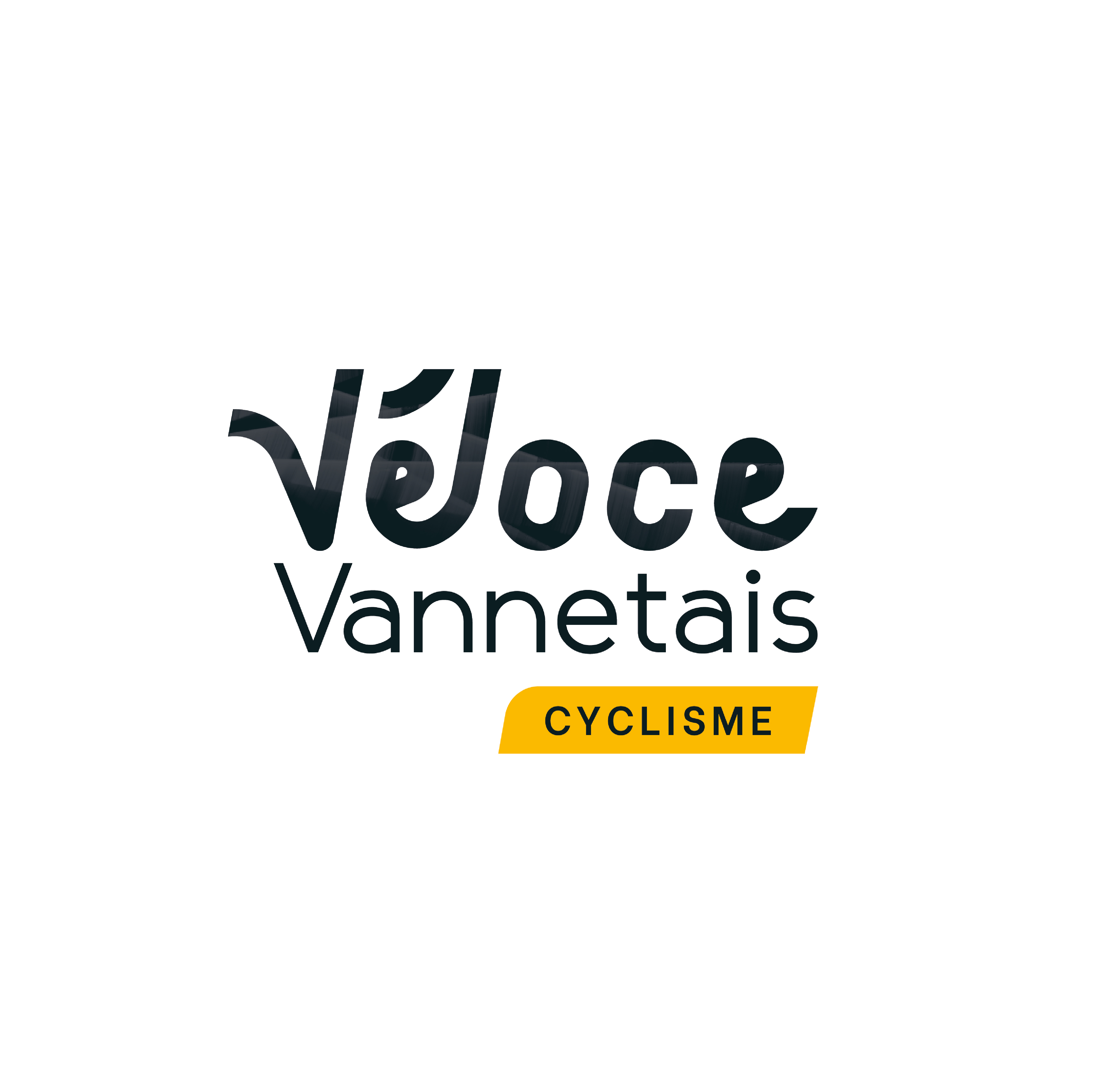 Logo véloce vannetais