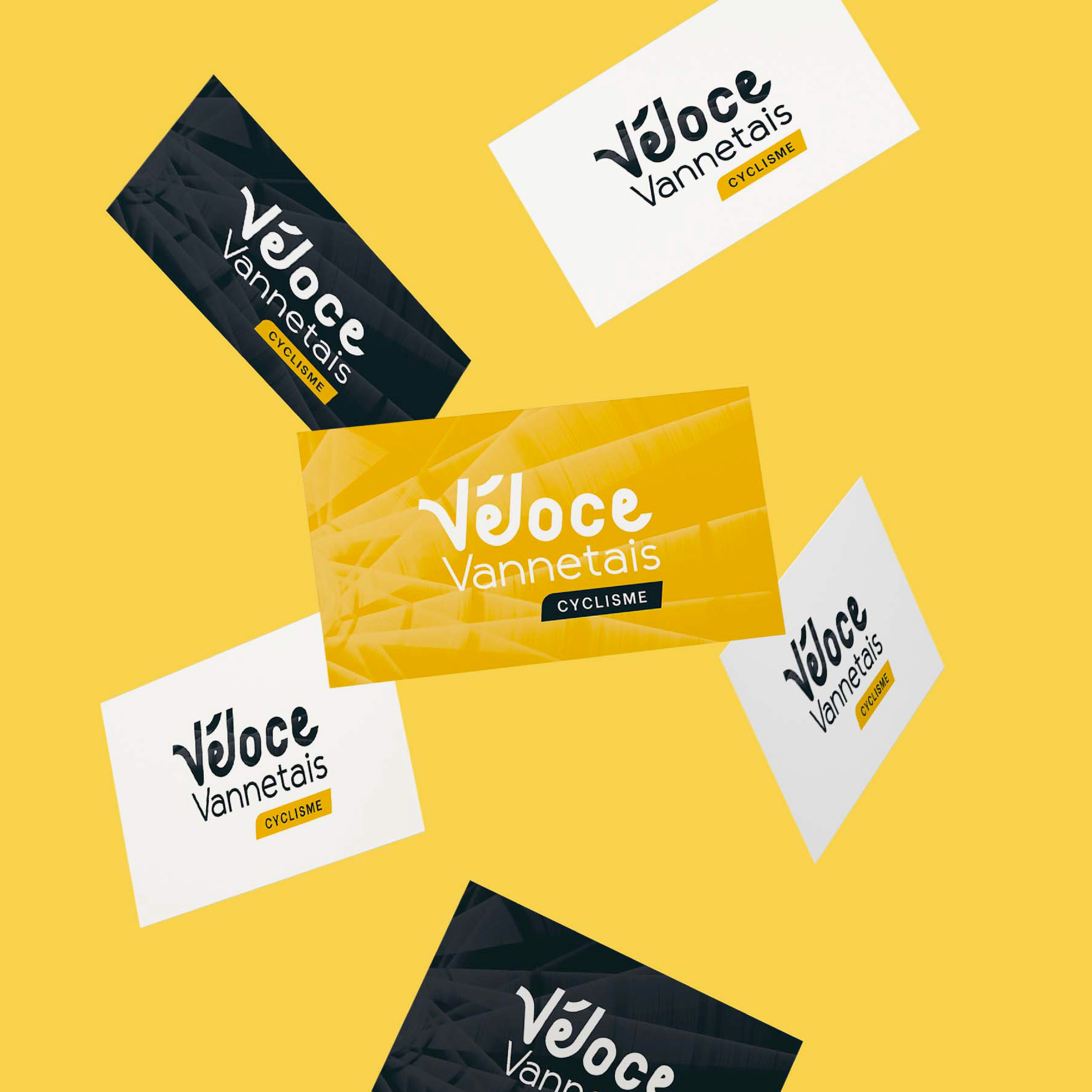 Logo véloce vannetais